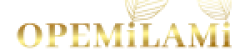 OPE-TRANS-LOGO-150x150-1-1.png